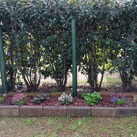 Tatil Evi La Casa Al Bmor Love&lake